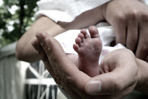 A close-up of a tiny baby foot resting in an adult's hand, surrounded by a soft, blurred background.