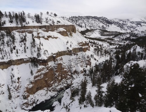 Snow-covered cliffs and a winding river surrounded by evergreen trees in a mountainous landscape.