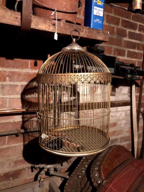 A vintage brass birdcage hanging in a rustic setting with brick walls and various tools in the background.