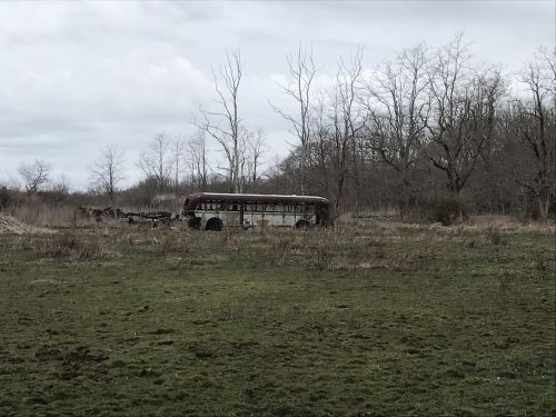 An abandoned, rusted bus sits in a grassy field surrounded by bare trees under a cloudy sky.