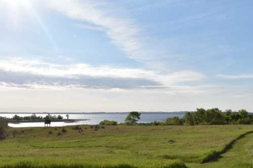 A serene landscape featuring a grassy field, a calm lake, and a clear blue sky with scattered clouds.