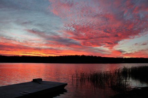 A vibrant sunset reflects on a calm lake, with colorful clouds and silhouettes of reeds along the shore.