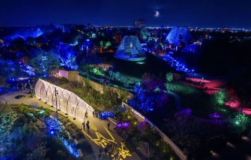 Aerial view of a brightly lit garden at night, featuring illuminated pathways and structures under a moonlit sky.