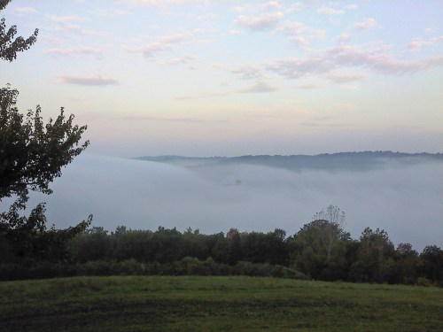 A serene landscape with rolling fog covering the hills, under a soft, cloudy sky at dawn.