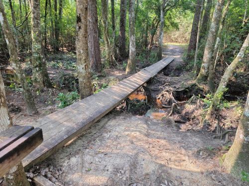 A wooden bridge spans a small stream in a dense forest, surrounded by trees and underbrush.