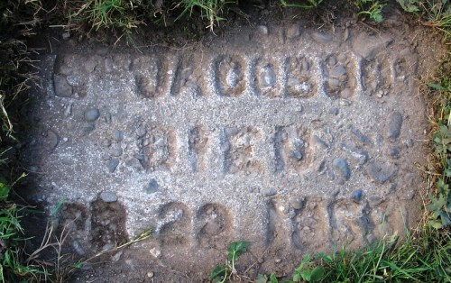 A weathered grave marker with the inscription "Jacobson Died 22 Feb 1877" surrounded by grass and soil.