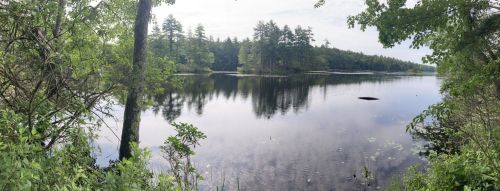 A serene lake surrounded by trees, reflecting the sky and greenery, creating a peaceful natural scene.
