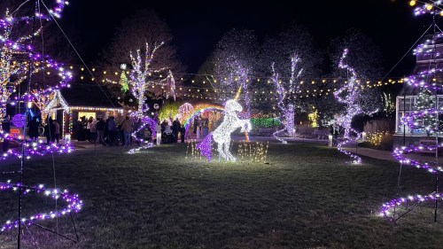 A festive display of colorful lights, featuring a unicorn and illuminated trees, set in a park at night.