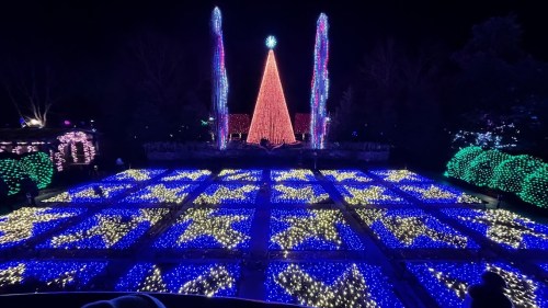 A vibrant display of colorful lights forms a star pattern on the ground, with a large illuminated Christmas tree in the background.