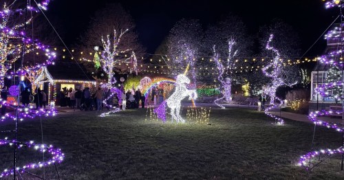 A festive display of colorful lights, featuring a unicorn and illuminated trees in a nighttime garden setting.