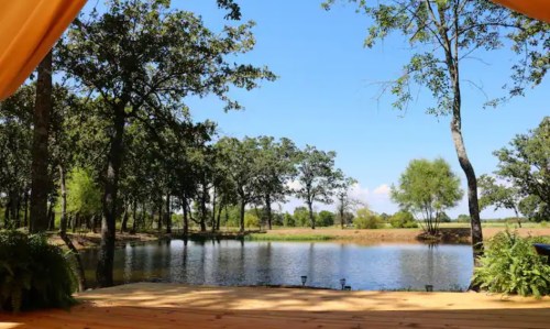 A serene view of a pond surrounded by trees, framed by a tent opening under a clear blue sky.