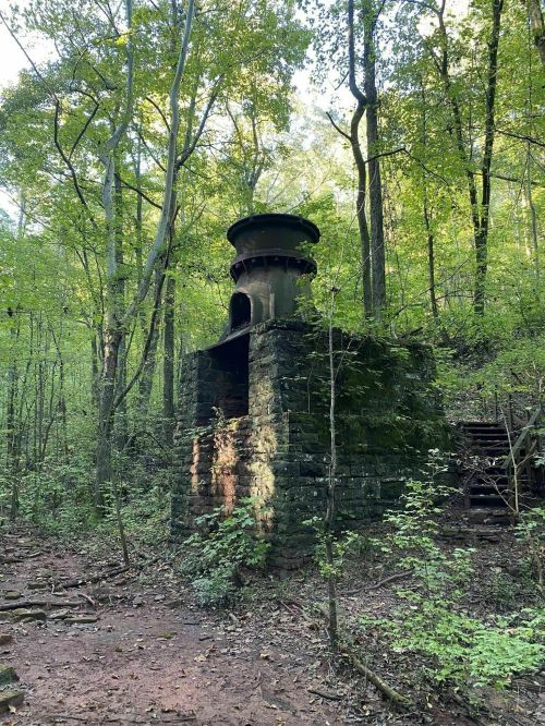 An old, moss-covered stone structure with a chimney, surrounded by lush green trees in a forested area.