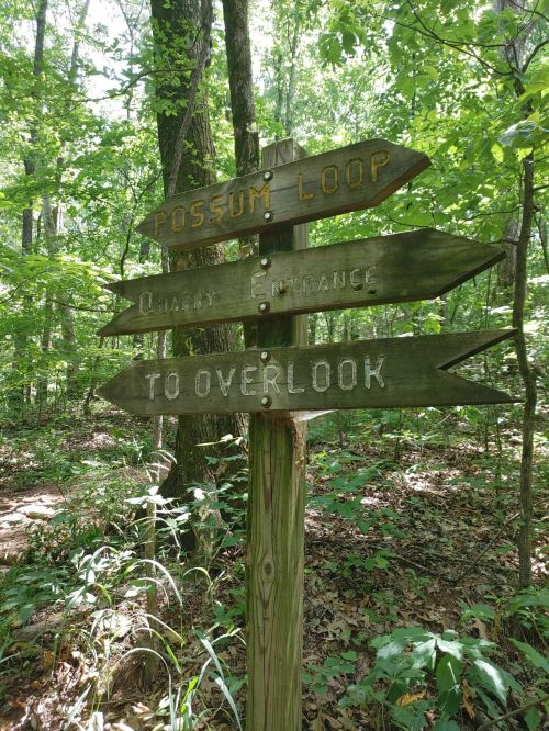Wooden signpost in a forest with arrows pointing to "Possum Loop," "Quarry Entrance," and "To Overlook."