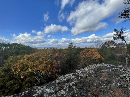 A scenic view from a rocky outcrop, showcasing trees with autumn foliage under a blue sky with fluffy clouds.