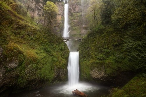 A majestic waterfall cascades down rocky cliffs, surrounded by lush greenery and a stone bridge above.