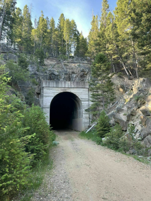 A dark tunnel entrance surrounded by trees and rocky terrain, with a dirt path leading towards it.