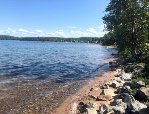 A serene lakeside view with clear water, sandy shore, and trees under a blue sky with scattered clouds.