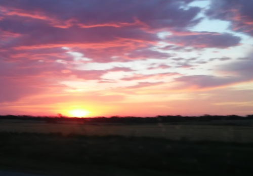 A vibrant sunset with pink and purple clouds over a field, casting a warm glow on the horizon.