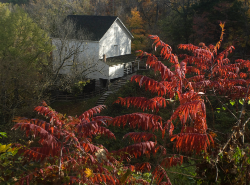 A white house nestled among trees, with vibrant red leaves in the foreground and autumn foliage in the background.