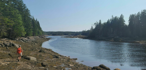 A person in an orange jacket walks along a rocky shoreline beside a calm river, surrounded by trees and clear blue skies.