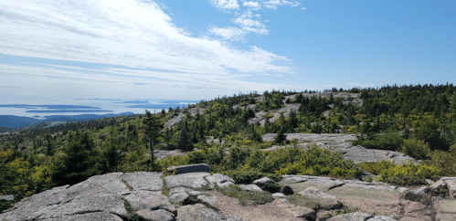 A panoramic view of a rocky landscape with lush greenery and a distant body of water under a clear blue sky.