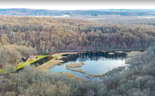 Aerial view of a serene pond surrounded by trees, with a small cabin and grassy area along the shore.