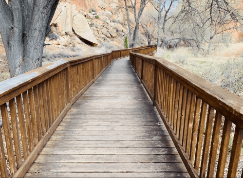 A wooden bridge leads through a natural landscape with rocky formations and trees on either side.