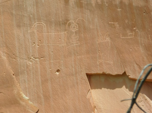 Petroglyphs on a rock surface depicting animal figures and abstract shapes in a desert landscape.