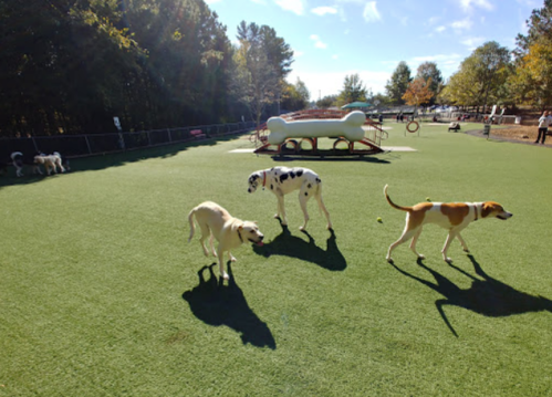 Three dogs play in a sunny park with green grass and a large dog-shaped structure in the background.