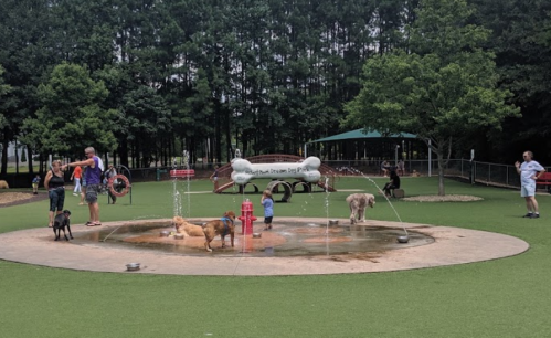 A dog park with a splash pad, featuring dogs playing in water and people enjoying the outdoor space.