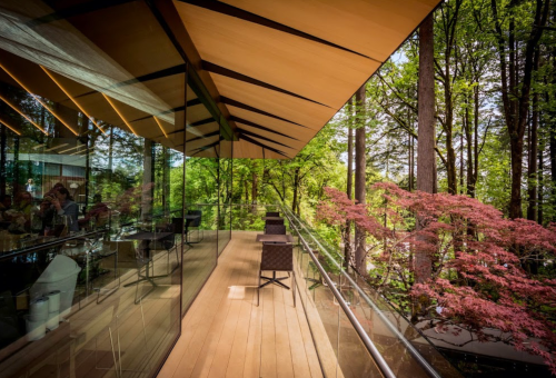 A modern balcony with wooden flooring overlooks lush greenery and trees, creating a serene outdoor space.