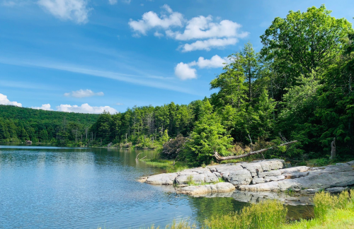 A serene lake surrounded by lush greenery and rocky shores under a clear blue sky with fluffy clouds.