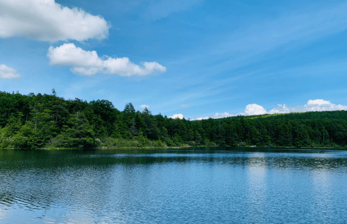 A serene lake surrounded by lush green trees under a clear blue sky with fluffy white clouds.