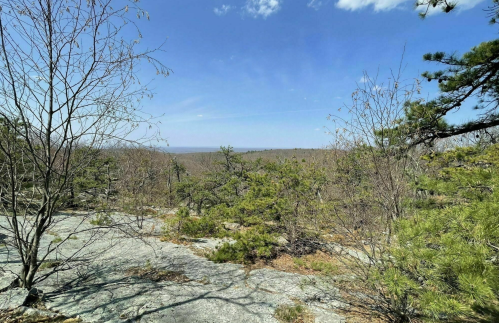 A scenic view of a rocky landscape with sparse trees under a clear blue sky.