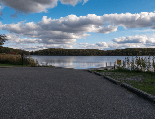 A serene lake view with cloudy skies, surrounded by trees and grassy areas, reflecting the landscape on the water.