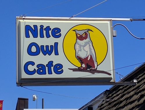 Sign for "Nite Owl Cafe" featuring an owl perched on a branch against a yellow moon backdrop. Clear blue sky above.