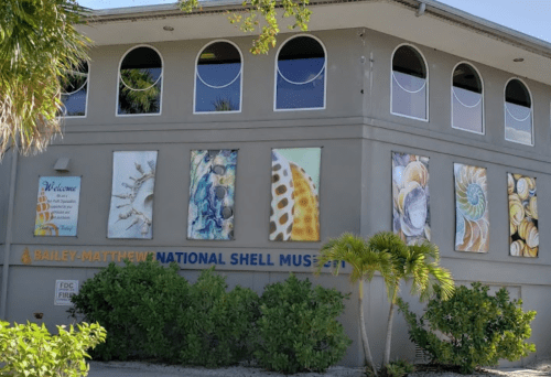 Exterior of the Bailey-Matthews National Shell Museum, featuring colorful shell artwork on the walls and tropical plants.