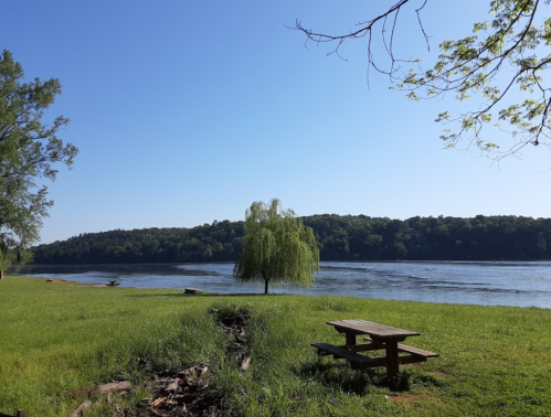 A serene riverside scene with a willow tree, green grass, and a picnic table under a clear blue sky.