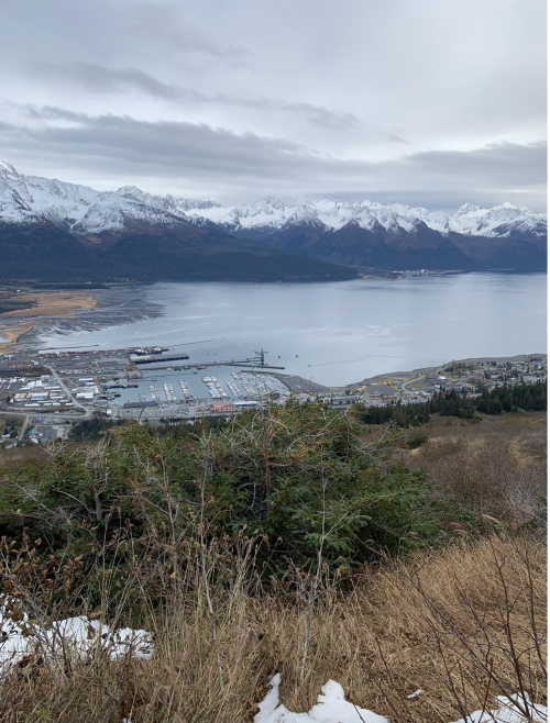 A scenic view of a harbor surrounded by snow-capped mountains under a cloudy sky.