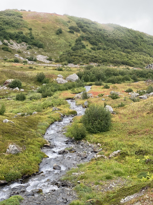 A winding stream flows through a lush, green landscape with hills and scattered rocks under a cloudy sky.