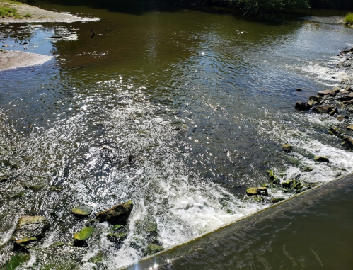A serene river scene with sparkling water, rocks, and gentle ripples under a clear blue sky.