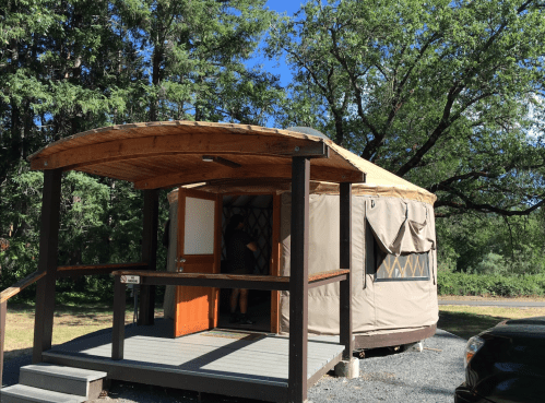 A yurt with a wooden deck, surrounded by trees and grass, under a clear blue sky.