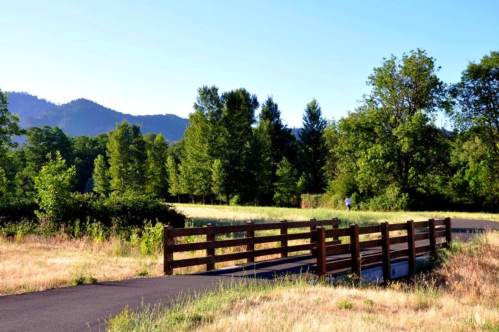 A wooden bridge crosses a path in a sunny park, surrounded by trees and mountains in the background.