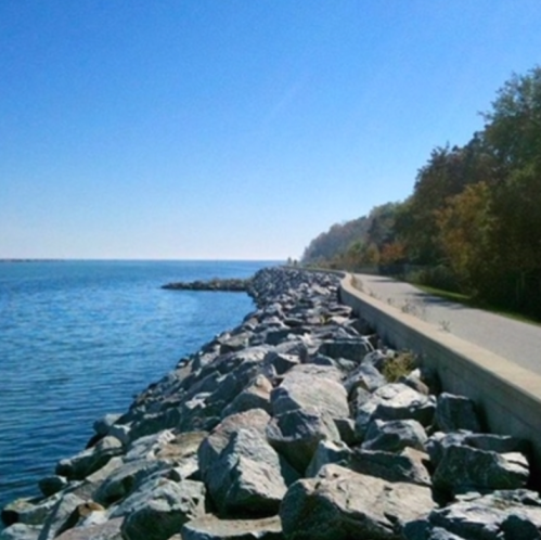 A rocky shoreline beside a calm blue lake, with a paved path and trees in the background under a clear blue sky.
