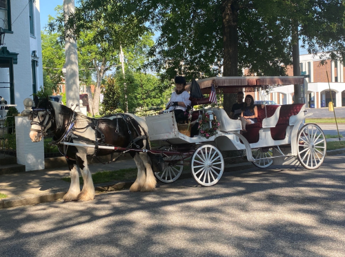 A horse-drawn carriage with a driver and passenger parked on a tree-lined street.