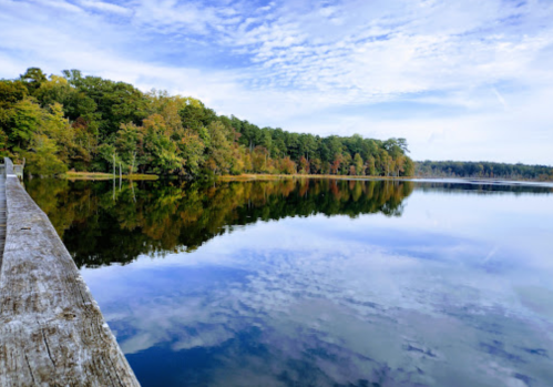 A serene lake reflecting trees and a cloudy sky, with a wooden pier extending into the water.