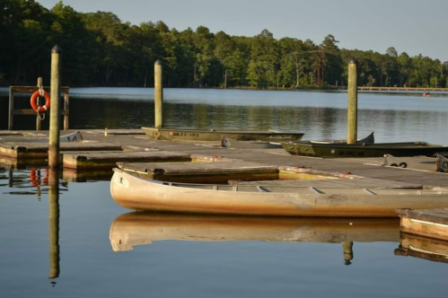 A calm lake scene with wooden docks and boats, surrounded by lush green trees under a clear sky.