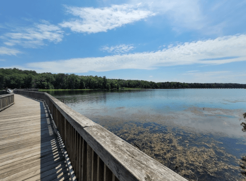 A wooden boardwalk extends along a calm lake, surrounded by greenery under a clear blue sky.
