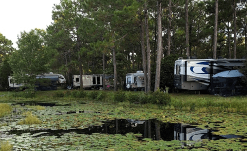 A serene campsite with several RVs parked near a pond surrounded by trees and lily pads.