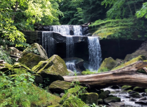 A serene waterfall cascades over rocks, surrounded by lush greenery and moss-covered stones.